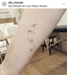 a small dandelion tattoo on the arm