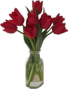 a vase filled with red flowers on top of a table