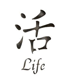 Life Asian Accent Stencil Japanese Tattoo Words, Tattoo Hair, Asian Calligraphy, Quote Stencils, Shabby Chic Stencils, Chinese Symbol Tattoos, Monogram Stencil, Accent Wall Stencil, Japanese Tattoo Symbols