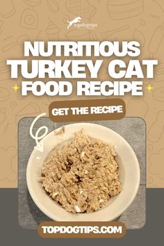 Nutritious Turkey Cat Food Recipe