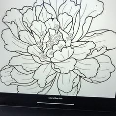 a black and white drawing of a flower on a computer screen with the words more than this written below it