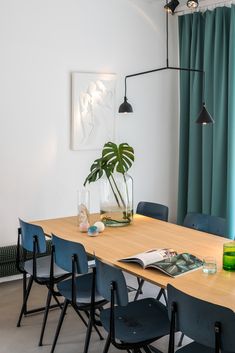 a wooden table with blue chairs and a plant