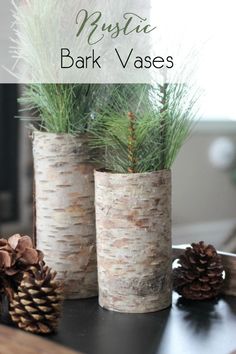 some pine cones are sitting in vases on a table with grass and pine cones