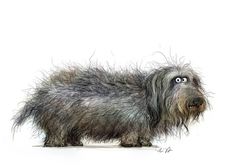 a drawing of a small dog with long hair on it's head and eyes