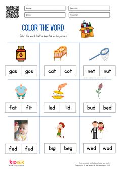 the color the word worksheet with pictures and words to describe what they are