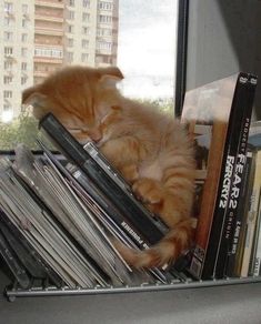 an orange cat sleeping on top of a stack of records