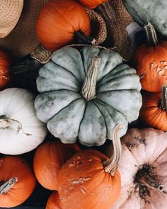 a pile of pumpkins sitting next to each other