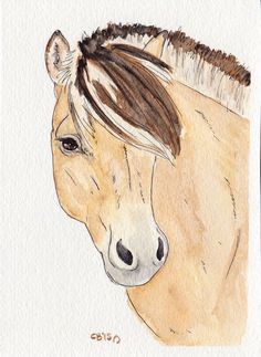 a drawing of a horse's head with long manes and brown hair on it