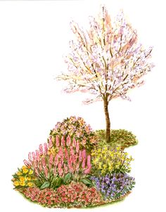 a small tree in the middle of a flower garden