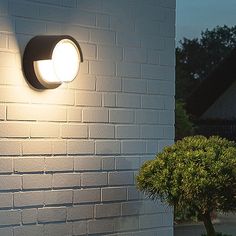 a white brick wall with a light on it and a potted tree in the foreground