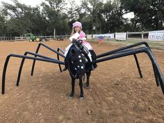 Horse Halloween Costume Linus Costume, Taco Halloween Costume, Tiger Halloween Costume, Night Horse