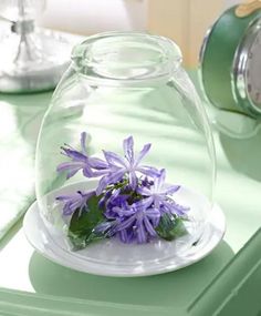 purple flowers are in a glass bowl on a green countertop next to a clock