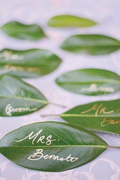 leaves with names on them sitting on a white tablecloth covered in green leaf imprints