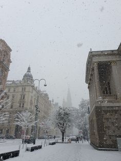 a snowy street with buildings and trees in the background