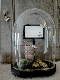 a snow globe with some rocks and plants under it in front of a wooden door