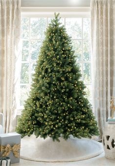 King of Christmas 9' Royal Fir Quick-Shape Artificial Christmas Tree with 1200 Warm White & Multi-Color LED Lights Realistic Christmas Trees, Realistic Artificial Christmas Trees, Fir Christmas Tree, Pre Lit Christmas Tree, Ultimate Christmas, Tree Shop, Metal Tree, Tree Shapes, Christmas Display