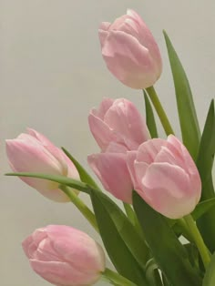 pink tulips are in a vase with green stems