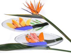 Birds-Of-Paradise flower Design, Fused glass platter, serving dish, Hostess gift, mom gift, Dinnerware centerpiece, hostess gift, Israeli art. The beautiful Birds Of Paradise Design platter will delight your table. The amazing combination of red, purple, blue, yellow, orange, and white flower colors creates a unique and special platter. Impressive platter for decorating the dining table/living room/serving desserts, cakes, cookies, cheeses, vegetables, and fruits & and bread. The dimensions are approximately 28cm x 10 cm. Do not put it in the microwave! Hand washing is recommended. A lovely gift for all occasions. The product is shipped from Israel and carefully packaged. Safe for food. Please write me your phone number so the courier can contact you directly and reach you easily. I will s Shabbat Candle Holders, Christmas Platter, Birds Of Paradise Flower, Fused Glass Artwork, Judaica Gifts, Sushi Plate, Glass Artwork, Fused Glass Art, Candle Holder Set