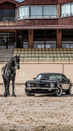 a horse standing next to a car in front of a building