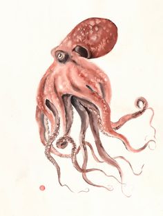 an octopus is sitting on the ground with its eyes open and it's head in the air