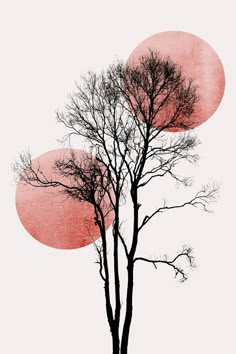 two trees with red circles in the background