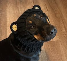 a black dog wearing a knitted hat with gold stars on it's ears