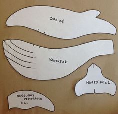 paper cut outs showing the width and length of each wing, with measurements for each wing