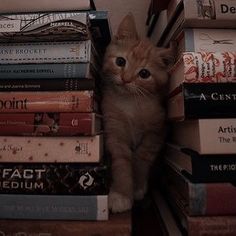 a cat sitting on top of a stack of books next to a pile of books