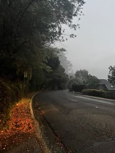 an empty street with trees and houses in the background on a foggy day,