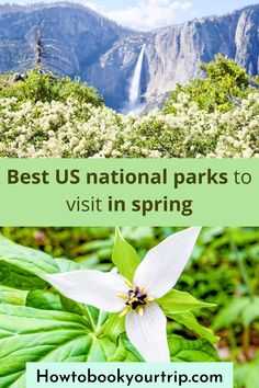 the national parks to visit in spring