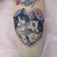 a couple of cats sitting next to each other on a person's leg