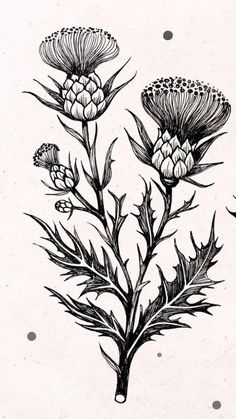 an ink drawing of some flowers on a white paper