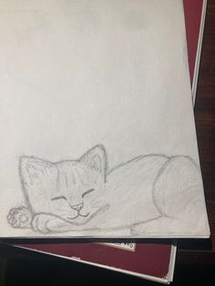 a pencil drawing of a cat laying on top of papers