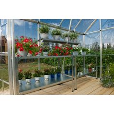 several potted plants are growing in the inside of a small greenhouse with glass walls