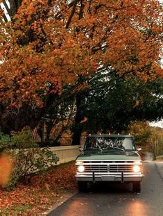 the truck is parked on the side of the road in front of trees with orange leaves