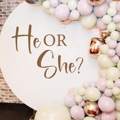 there is a sign that says he or she? surrounded by balloons