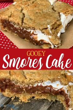 gooey s'mores cake on a red and white checkered tablecloth