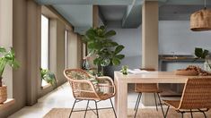 a dining room table with chairs and plants