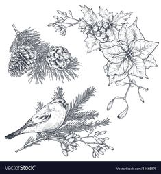 christmas decorations and pine cones on a branch sketched with ink hand drawn style illustration