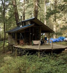 a small cabin in the woods surrounded by tall trees and greenery, with a covered porch