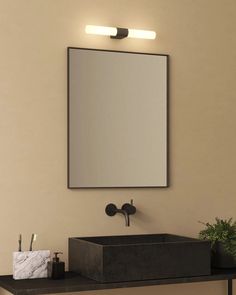 a bathroom sink with a mirror above it and a plant on the counter next to it