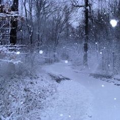 a snowy path in the woods with trees and snow flakes on it's ground