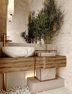 a bathroom sink sitting under a mirror next to a potted plant on top of a counter