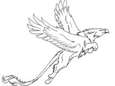 a drawing of a bird flying with its wings spread out and it's head turned to the side