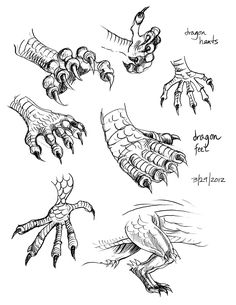 some drawings of different types of hands and feet, with the words dragon tattoos on them