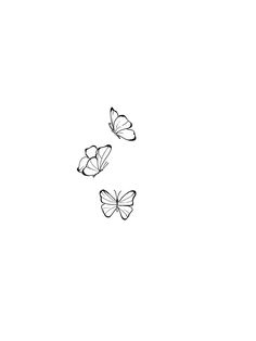 three butterflies flying side by side in the sky