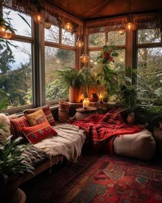 a living room filled with lots of plants next to a large window covered in lights