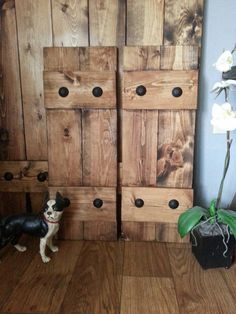 a small dog standing in front of two wooden doors and a potted plant on the floor