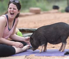 a woman sitting on the ground petting a small pig with her mouth wide open