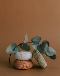 Irene Halley - Fotografia de emprendedoras y marca (@irenehalley_) • Fotos y vídeos de Instagram Himalayan Pink Salt, Pink Salt, Bilbao, Organic Shapes, Himalayan, Salt, Pink, On Instagram, Instagram